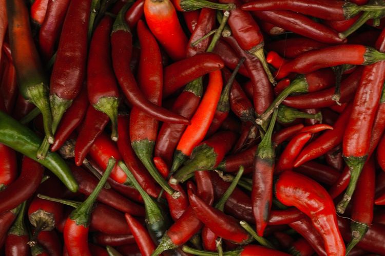 Ilustrasi cabai merah besar