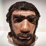 Sejak 70.000 Tahun Lalu, Neanderthal Taburi Bunga di Ritual Pemakaman