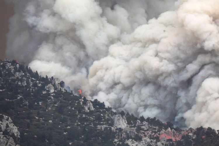 Cranston Fire di Hutan Nasional San Bernardino pada 26 Juli 2018 dekat Idyllwild, California. (AFP/Mario Tama)