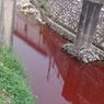 Sungai Klampisan Semarang Jadi Merah dan Keluarkan Bau Busuk, Warga Duga akibat Limbah Pabrik
