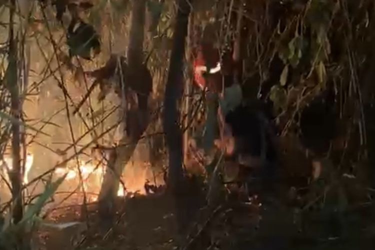 Diduga akibat Puntung Rokok, Lahan di Perbukitan Babakan Madang Bogor Terbakar