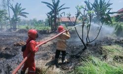 Walhi Kritik Pemerintah: Gagah ke Petani, Loyo pada Korporat Pembakar Hutan
