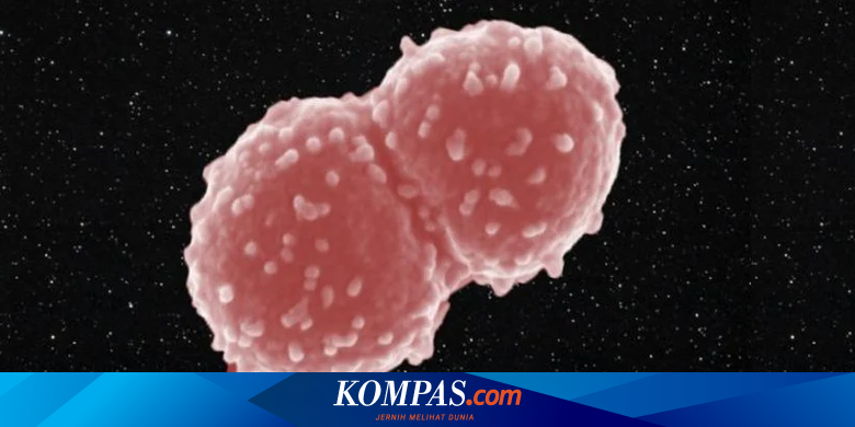 Di Luar Angkasa, Bakteri Ini Sukses Bertahan Hidup Selama Satu Tahun