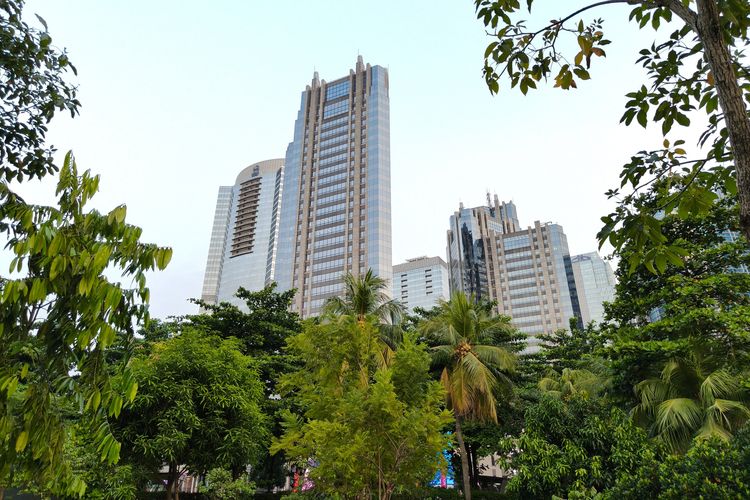 Hasil gambar di luar ruangan saat suasana langit masih terang. Hasil foto ini menunjukkan Realme GT 7 Dream Edition punya kecenderungan warna kuning sebagai pengaturan default. Hal tersebut dapat dibuktikan melalui warna daun hijau yang cenderung kekuningan. Berbeda dengan warna asli daun saat itu yang justru sedikit lebih cold color (kebiruan)