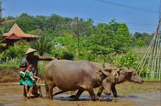 Rute Menuju Desa Wisata Lerep Kabupaten Semarang