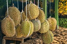 Ekspor Durian Indonesia Jauh Tertinggal dari Vietnam