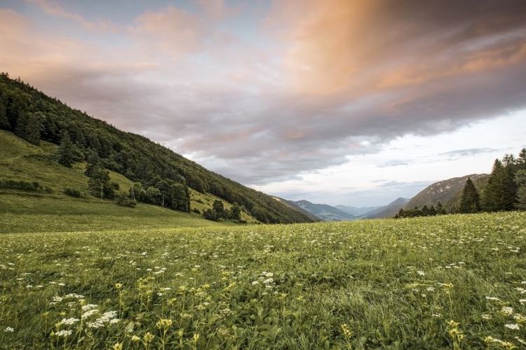 Tempat wisata bernama Thal Nature Park di Swiss (Copyright by: Switzerland Tourism - BAFU  | By-Line: swiss-image.ch/Roland Gerth).