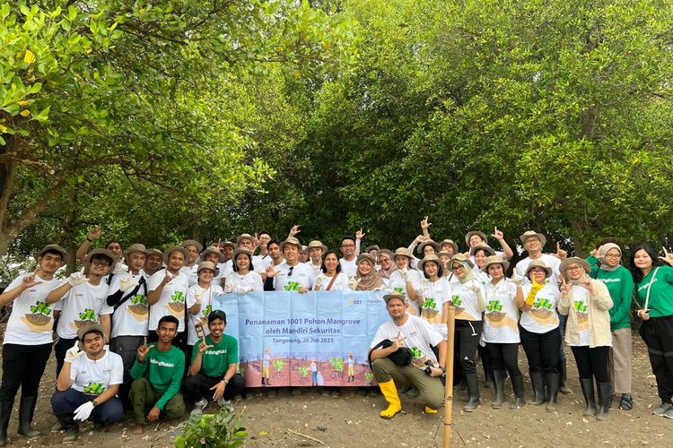 Tim Mandiri Sekuritas menanam pohon Mangrove di desa Sukawali, Tangerang, Rabu, 26 Juli 2023 dalam rangka kontribusi perusahaan kepada kelestarian lingkungan yang berkelanjutan di hari Mangrove sedunia.