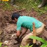 Tewas Dibunuh Setelah Berkelahi Saat Cari Durian, Pria di Jambi Dikubur Dalam Rawa