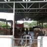 Lindungi Sapi dari PMK, Khamad Rela Tutup Kandang dan Tunda Penjualan