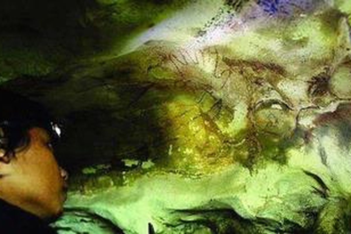 Andi Ilham, aktivis lingkungan dari Lembaga Bumi Mentari, meneliti lukisan peninggalan zaman prasejarah di Goa Bulu Barakka di Dusun Rammang-Rammang, Desa Salenrang, Kecamatan Bontoa, Kabupaten Maros, Sulawesi Selatan, Sabtu (7/4/2012).