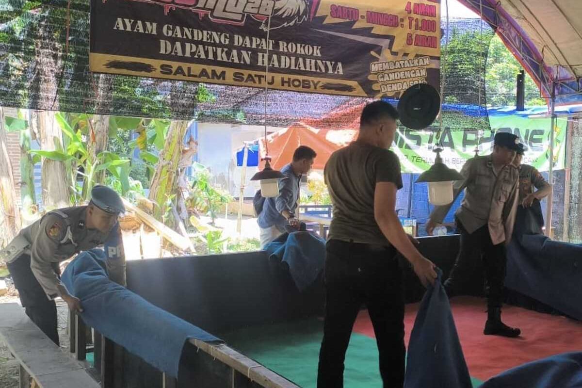 #---Polisi membongkar arena sabung ayam di Kabupaten Trenggalek Jawa Timur, Rabu (03/12/2025).---#