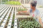 Kisah Para Ibu Pemulung yang Punya Dana Darurat dari Menabung Sampah