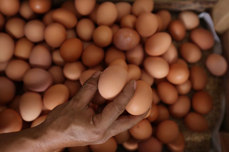 Mimpi dapat telur ayam