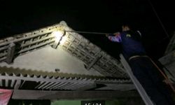 Ternyata Ini yang Membuat Tawon Datang dan Bikin Sarang di Rumah