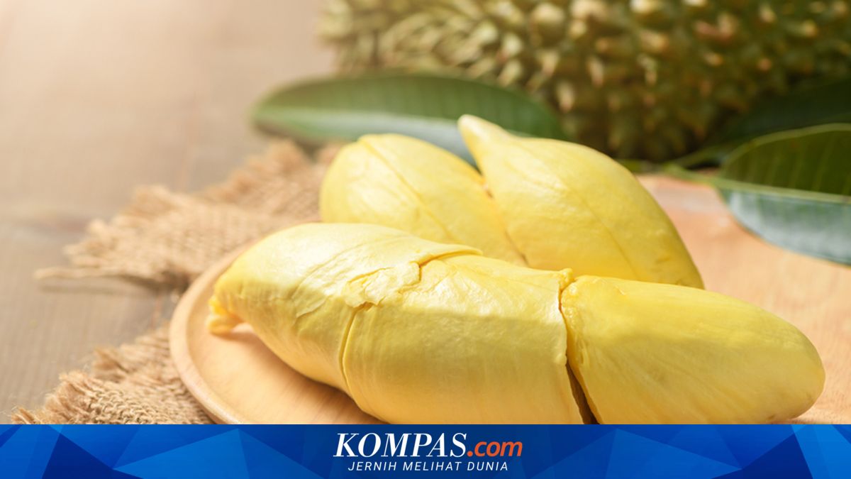 Imbas Tsunami Durian, Festival Makan Musang King Sepuasnya Digelar di Melaka