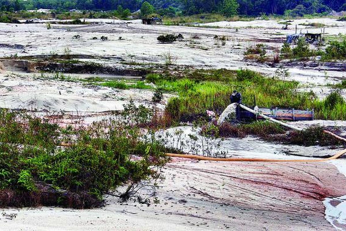 Puluhan hektar hutan di Bangka Selatan, Kepulauan Bangka Belitung, menjadi padang pasir akibat penambangan timah. Sampai 2011, sekitar 400.000 hektar hutan di Kepulauan Bangka Belitung rusak, terutama karena penambangan timah. Biaya pemulihan lahan mencapai Rp 6 triliun atau setara dengan APBD Bangka Belitung lima tahun yang rata-rata  Rp 1,2 triliun per tahun.
