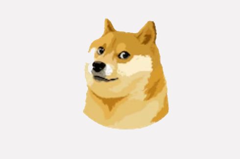 Profil Kabosu, Anjing Shiba Inu yang Fotonya Jadi Meme 