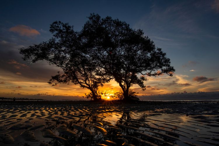 Pantai Tanjung Pendam, Belitung