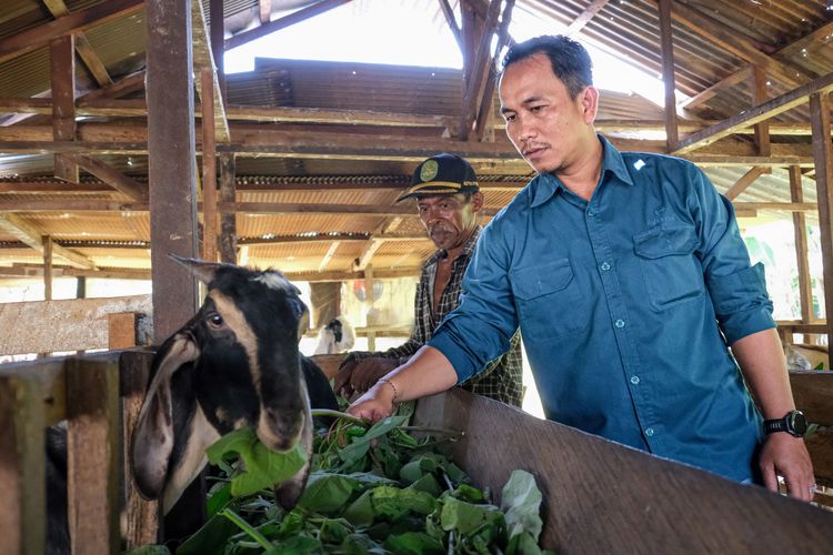 Kampung Kambing di Kukar Dorong Ekonomi Warga Lingkar Tambang