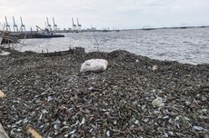 Jadwal Siaran Langsung Arema FC Vs Persita pada Pekan ke-8 Super League