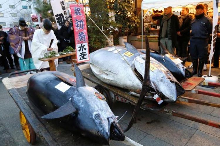 Seorang pendeta Shinto mendoakan ikan tuna seberat 405 kilogram dan ikan-ikan lainnya di sebuah kuil di dekat pasar ikan Tsukuji, Tokyo, Jumat (5/1/2017).