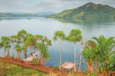 Mengenal 3 Provinsi Baru Indonesia di Papua: Ha Anim, Meepago, dan Lapago