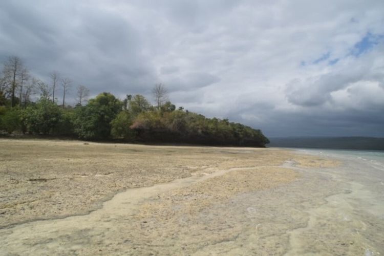 Tepi Pantai Pulau Pendek