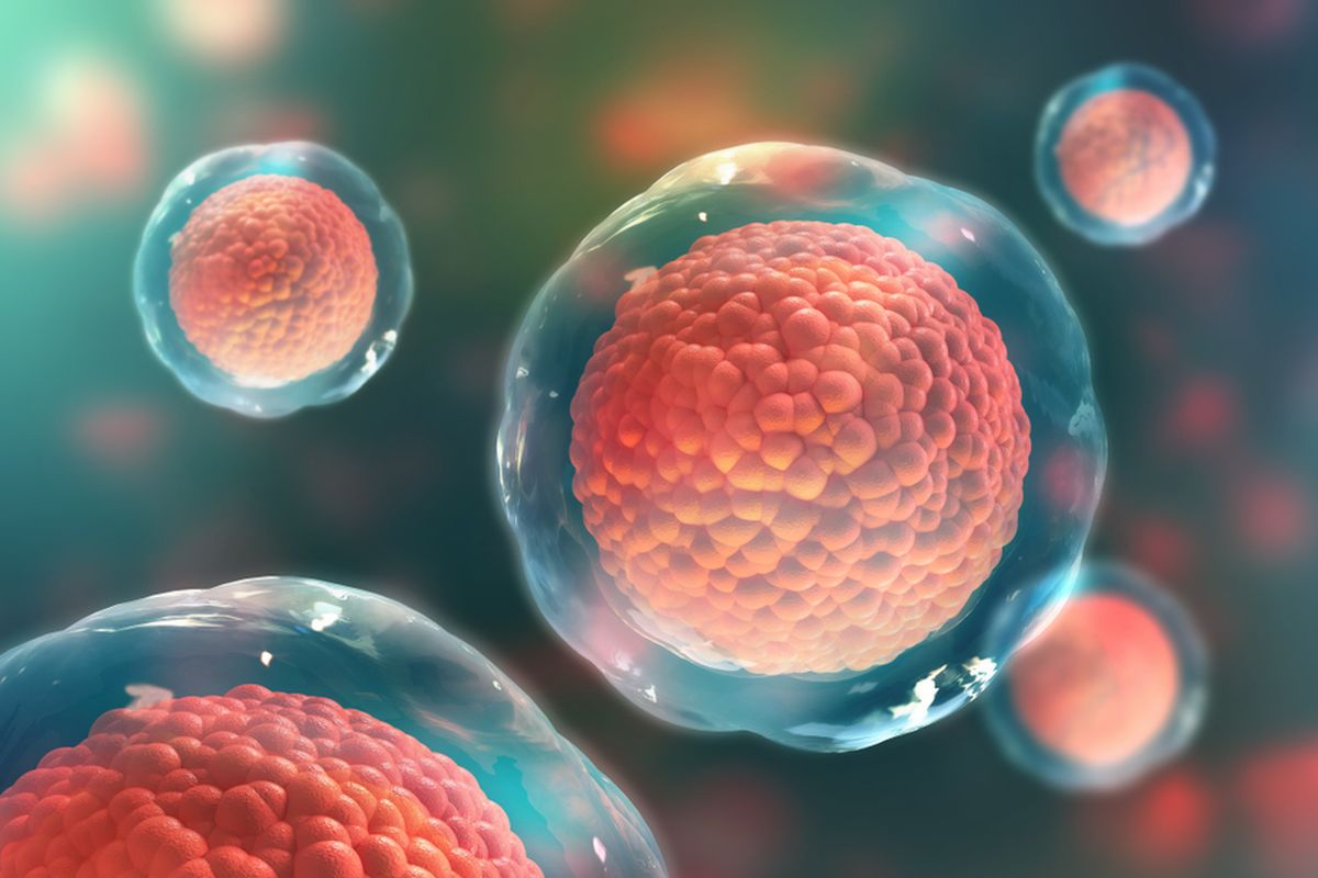 Ilustrasi stem cell. Dikenal juga sebagai sel induk atau sel punca. Sel ini dapat berubah sesuai dengan kebutuhan tubuh, memiliki manfaat yang sangat besar dalam terapi pengobatan pada penyakit-penyakit kronis.