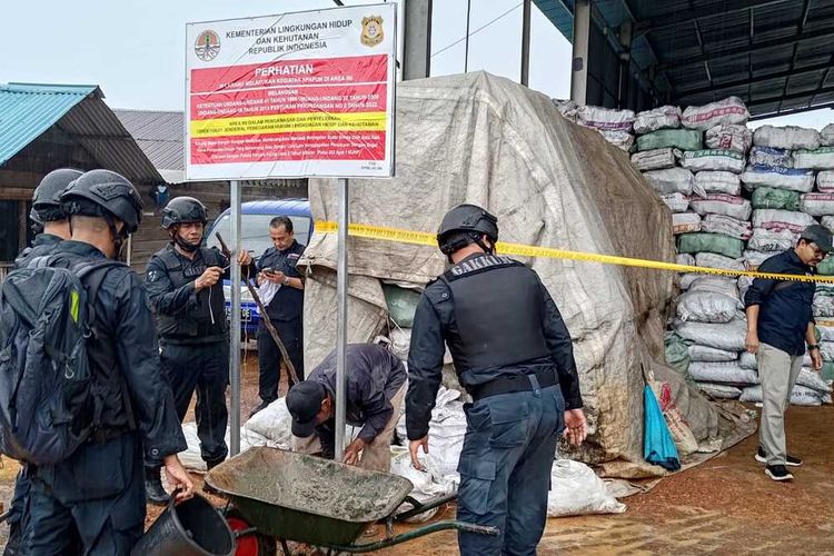 Ribuan Mangrove di Batam Ditebang Secara Ilegal, KLHK Segel Gudang Arang di Jembatan 5