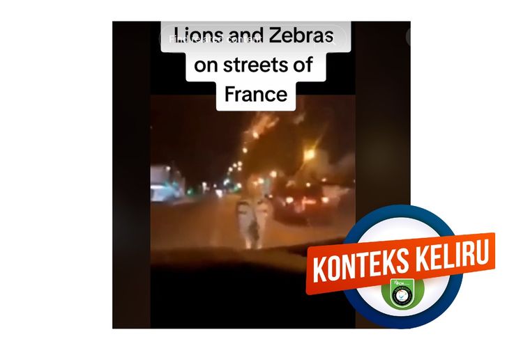 Hoaks, singa dan zebra berkeliaran di jalanan Perancis