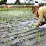 [POPULER DI KOMPASIANA] Menakar Kesejahteraan Petani | Ingatan Kelam Mei 1998 di Solo | Perancis dan Polandia Tangani Pandemi