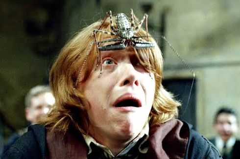 Ron Weasley Memiliki Fobia Terhadap Apa di Film Harry Potter?