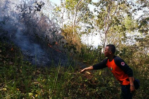 Warga Bakar Rumput, 1 Hektar Lahan Hutan Platang Terbakar