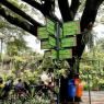 Liburan di Ragunan? Ini Jadwal Atraksi Memberi Makan Satwa