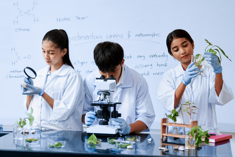 Ilustrasi 11 Kampus Indonesia Tembus Top 500 Dunia di Sains Interdisipliner