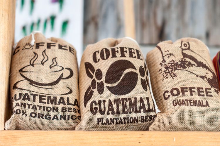 Ilustrasi kopi guatemala atitlan. 