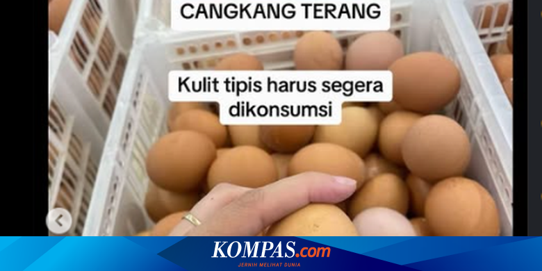 Unggahan Viral Memilih Telur Dilihat dari Cangkangnya, Ini Komentar Pakar

Baca selengkapnya:


~RKD #Telur #Cangkang #Trik