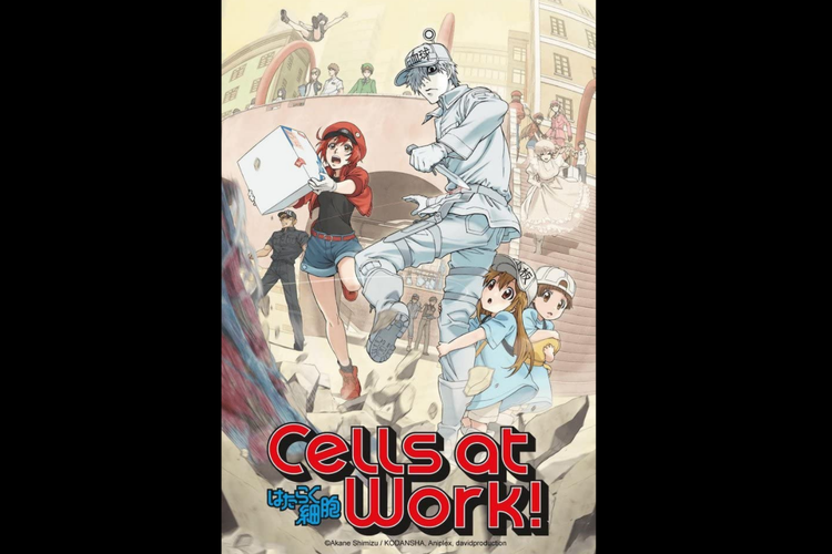 Serial Anime Cells at Work dapat disaksikan di NET TV.