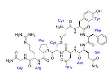 Hormon Oksitosin: Pengertian dan Fungsinya