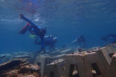 Pemprov DKI Gelontorkan Rp 4,3 Miliar untuk Perbaiki Kerusakan Terumbu Karang di Kepulauan Seribu