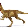Dilophosaurus, Dinosaurus yang Salah Identifikasi Hingga Puluhan Tahun