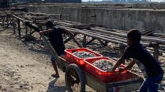 Kemiskinan Ekstrem Tidak Akan Selesai Tanpa Literasi