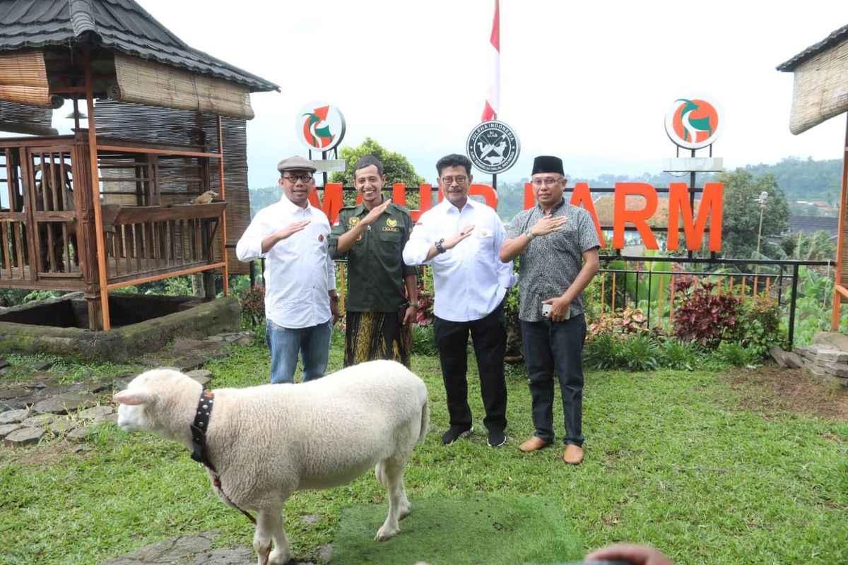 Menteri Pertanian (Mentan) Syahrul Yasin Limpo (SYL) mengajak para peternak domba di Kabupaten Bogor, Jawa Barat, untuk memenuhi kebutuhan daging nasional secara merata di seluruh Indonesia. 