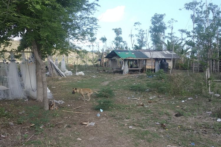 suasana di rumah Amaq Kangkung alias Amaq Bengkok