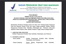 BPOM Buka Lowongan Kerja Jabatan Direktur, Simak Persyaratan dan Cara Daftarnya!