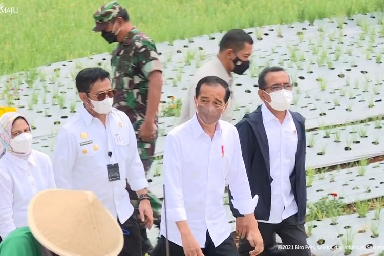 Foto tangkapan layar YouTube Sekretariat Presiden: Presiden Joko Widodo  usai menenam bawang merah bersama warga dan Menteri Pertanian serta jajaran pejabat lainnya di Kabupaten Temanggung, Jawa Tengah, Selasa (14/12/2021).