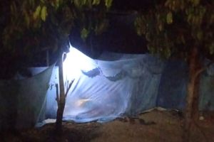Korban Gempa di Sikka NTT Bermalam di Halaman Gua, 'Lebih Baik Kedinginan Daripada Tertimpa Rumah'