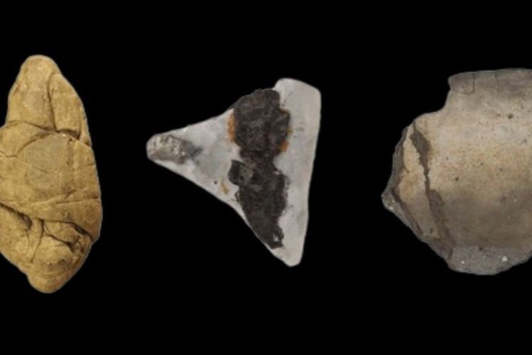 Permen Karet Kuno Ungkap Peran Gender Manusia Purba 6.000 Tahun Lalu