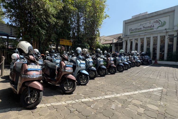 Pasar Motor Listrik Ramai, TVS Sentil Kehadiran Merek Musiman